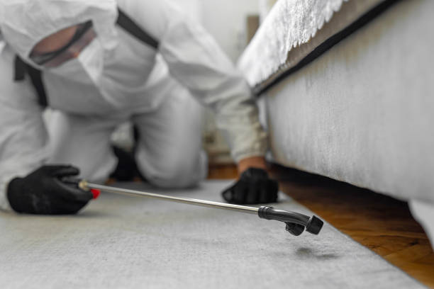Professional Fumigation Services technician working in Paul, ID