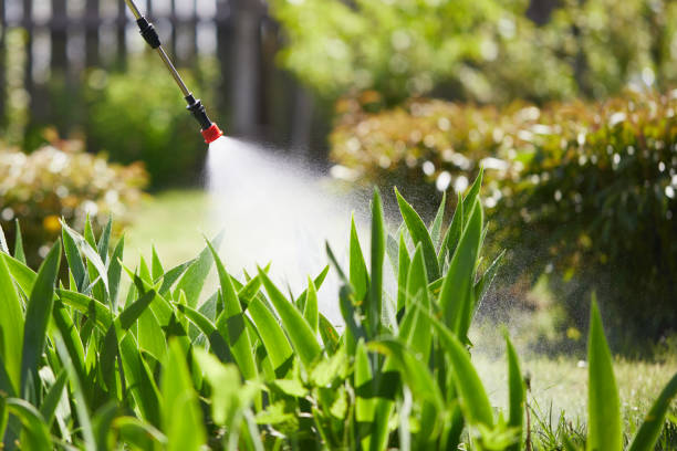 24/7 Emergency Fumigation Services experts in Paul, ID