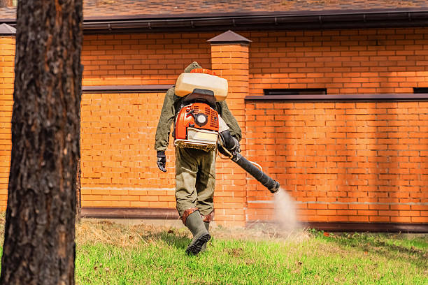 Top rated local Fumigation Services specialists in Paul, ID